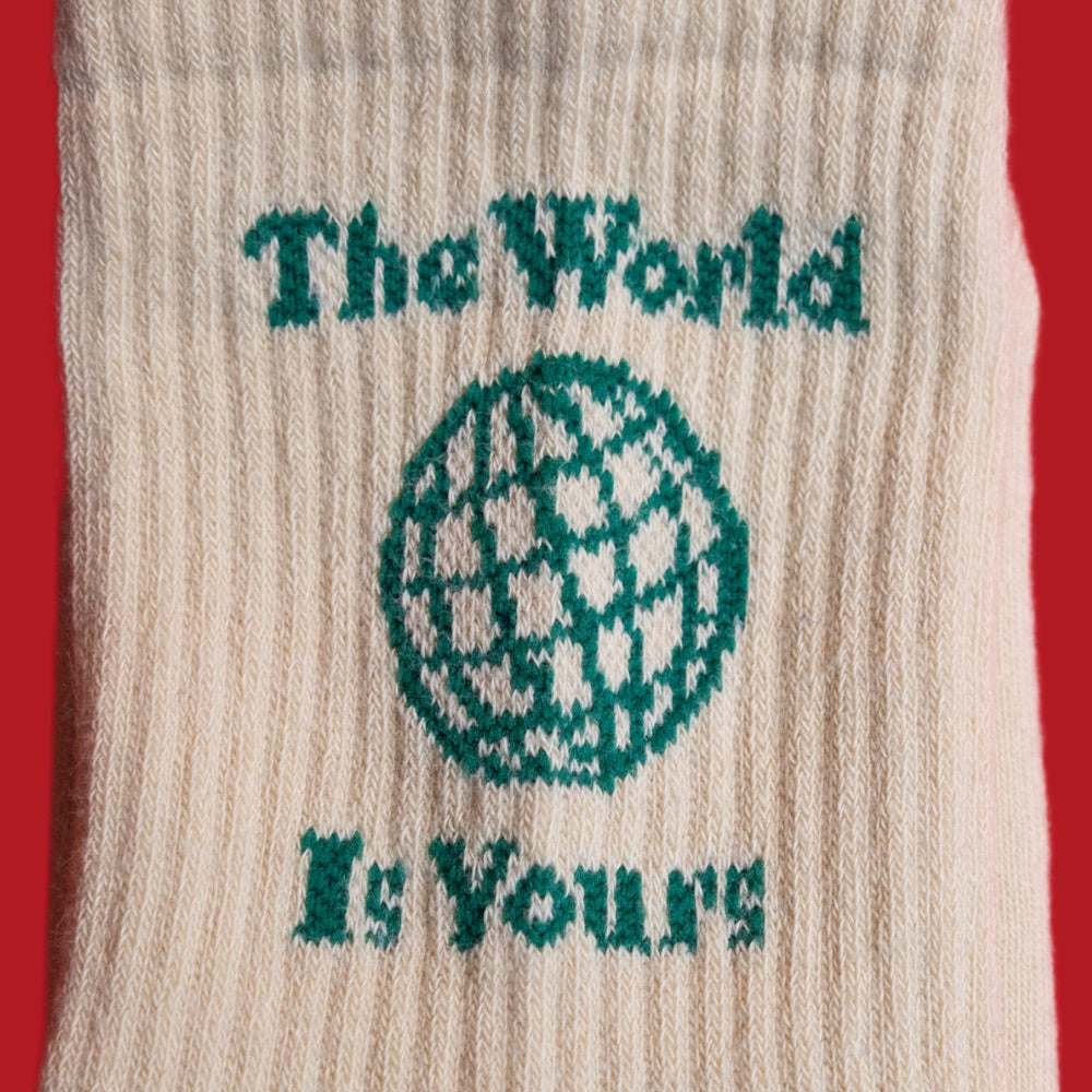 The World Is Yours Socks